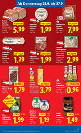 Lidl Flugblatt woche 39 Seite 13