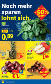 Lidl Flugblatt woche 39 Seite 44