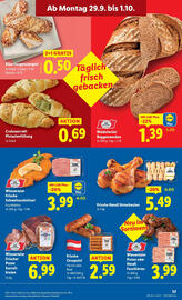 Lidl Flugblatt woche 39 Seite 45