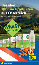 Lidl Flugblatt woche 39 Seite 22