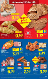Lidl Flugblatt woche 39 Seite 45