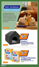 Action Flugblatt woche 38 Seite 21
