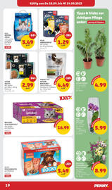 PENNY Flugblatt woche 38 Seite 19