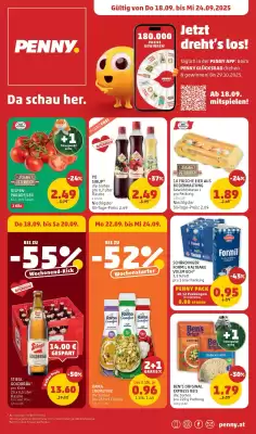 PENNY Flugblatt (gültig bis 24-09)