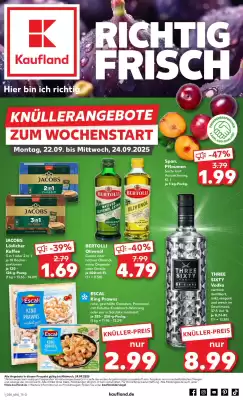 Kaufland Prospekt