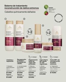 Catálogo Natura Página 162