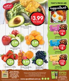 Spudshed catalogue week 39 Page 16
