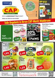 CAP Markt Prospekt woche 40 Seite 1