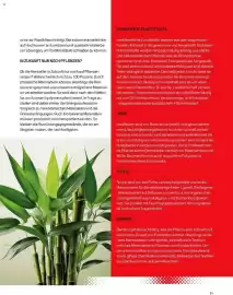 Sport 2000 Prospekt Seite 31