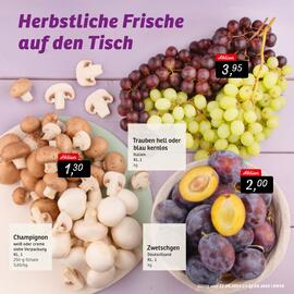 KONSUM Prospekt woche 39 Seite 7