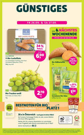 Denn's Biomarkt Flugblatt Seite 12