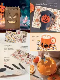 Orion leták Strana 19