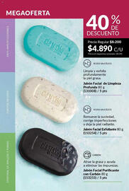 Catálogo Avon Página 105