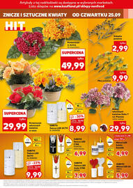 Kaufland gazetka tydzień 39 Strona 9