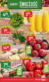 Polomarket gazetka tydzień 39 Strona 23