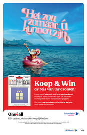 Carrefour folder Pagina 43