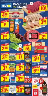 Maxi flyer