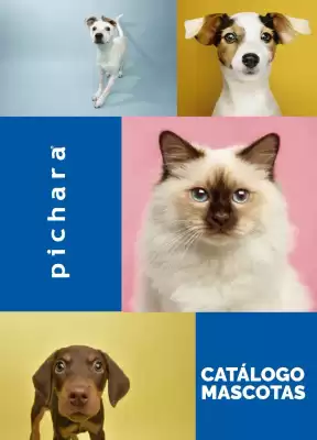 Catálogo Pichara (válido hasta 31-10)