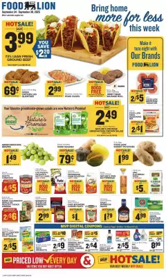 Food Lion weekly ad