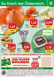 Spar Flugblatt Seite 24