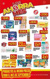 Folleto Supermercados DIA semana 39 Página 49