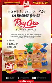 Folleto Supermercados DIA semana 39 Página 9