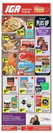 IGA flyer Page 1