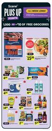 IGA flyer Page 8