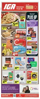 IGA flyer