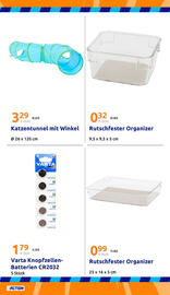 Action Flugblatt woche 39 Seite 31