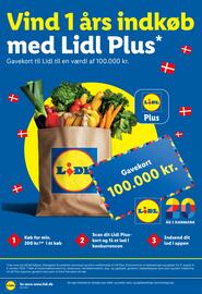 Lidl tilbudsavis uge 40 Side 29