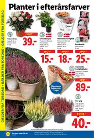 Lidl tilbudsavis uge 40 Side 30