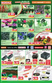 Catalogue Norma semaine 40 page 4