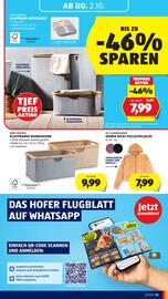 Hofer Flugblatt woche 39 Seite 37