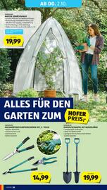 Hofer Flugblatt woche 39 Seite 42