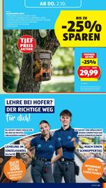 Hofer Flugblatt woche 39 Seite 45