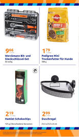 Action Prospekt Seite 34