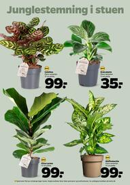 Netto tilbudsavis uge 39 Side 32