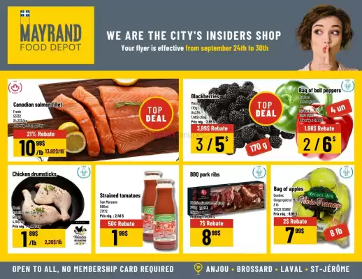 Mayrand flyer