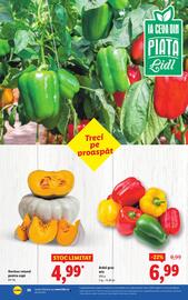 Catalog Lidl săptămâna 40 Pagină 26