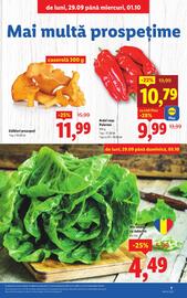 Catalog Lidl săptămâna 40 Pagină 7