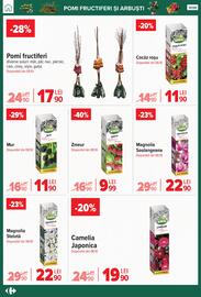 Catalog Carrefour Pagină 55