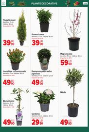 Catalog Carrefour Pagină 57