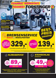 Forstinger Flugblatt Seite 5