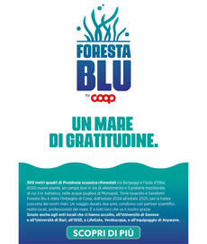 Volantino Ipercoop Pagina 39