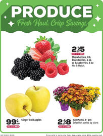 Grocery Outlet weekly ad week 39 Page 3