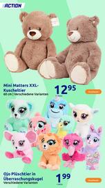 Action Prospekt woche 46 Seite 71