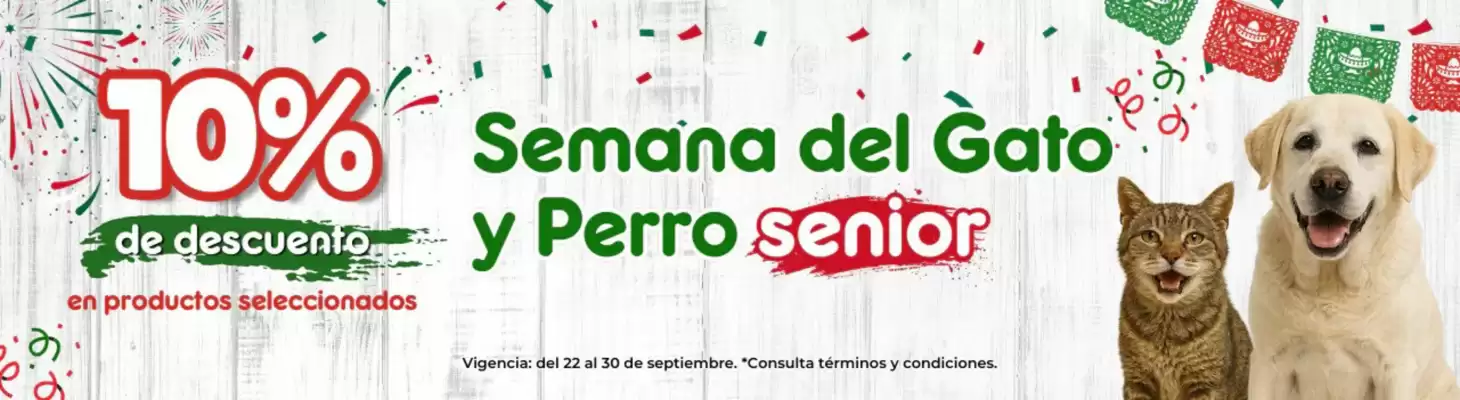 Catálogo Maskota (válido hasta 30-09)