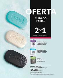 Catálogo Avon Página 101
