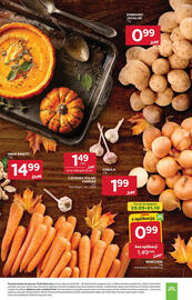 Stokrotka Market gazetka tydzień 39 Strona 13